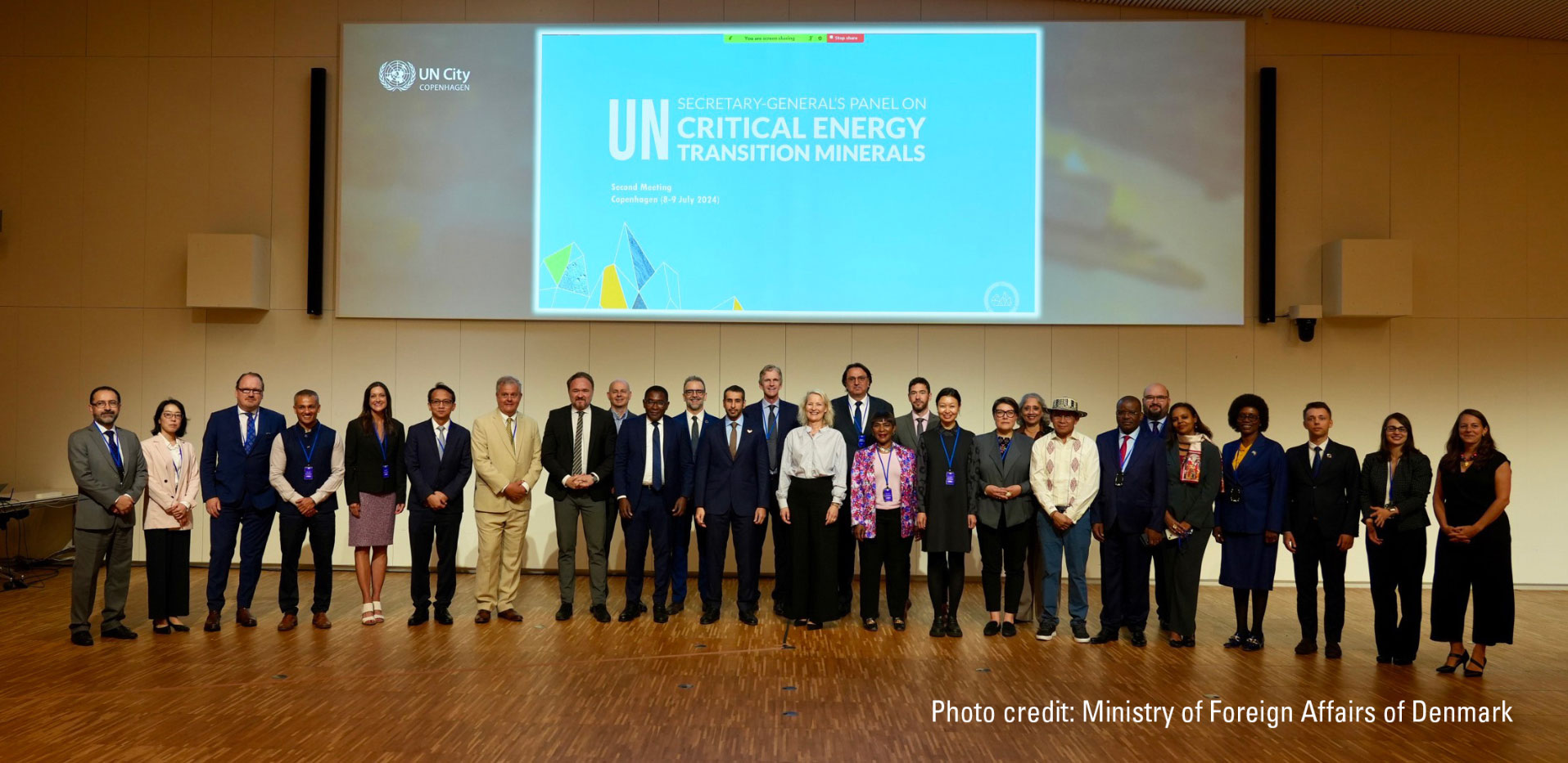 The Critical Raw Materials and UN Panel